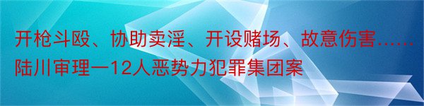 开枪斗殴、协助卖淫、开设赌场、故意伤害……陆川审理一12人恶势力犯罪集团案