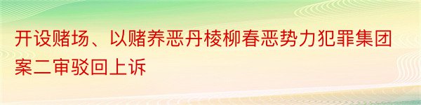 开设赌场、以赌养恶丹棱柳春恶势力犯罪集团案二审驳回上诉